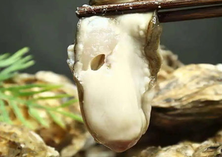 牡蛎的食用方法及做法